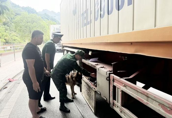 Lực lượng chức năng đẩy mạnh công tác phòng, chống buôn lậu, vận chuyển hàng hóa trái phép qua biên giới.