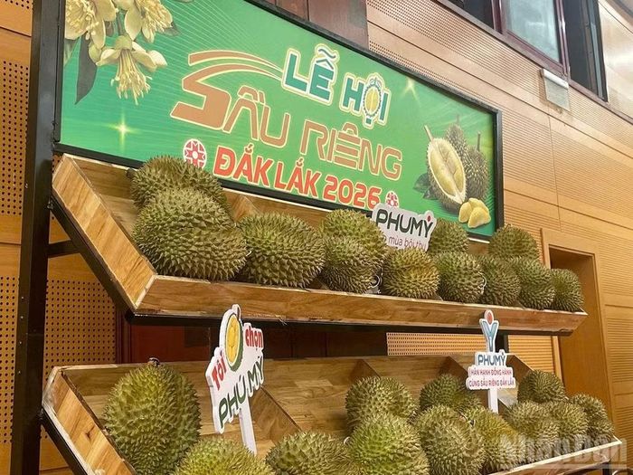 Lễ hội có chủ đề "Sầu riêng Đắk Lắk-Kết nối vươn xa", diễn ra từ ngày 15/8 đến ngày 2/9 tại phường Buôn Ma Thuột, xã Krông Pắc, phường Tuy Hòa và các xã trồng sầu riêng trên địa bàn tỉnh Đắk Lắk.