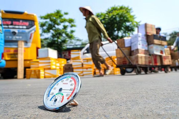 (Ảnh: THÀNH ĐẠT)