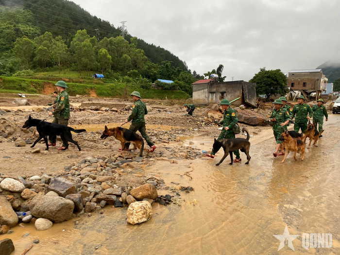 Bộ đội Biên phòng tỉnh Lai Châu triển khai chó nghiệp vụ, phối hợp với tổ công tác của Trường Trung cấp 24 Biên phòng tìm kiếm người bị vùi lấp tại xã Mường Than.