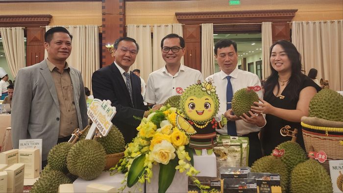 Các đại biểu và khách mời tham dự họp báo Lễ hội Sầu riêng Đắk Lắk tại Hà Nội. Ảnh: THU HÀ