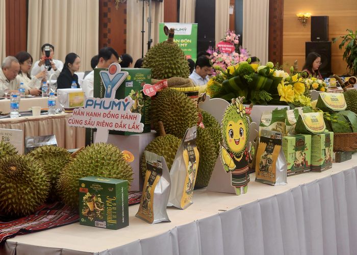 Sầu riêng và nhiều sản phẩm từ sầu riêng Đắk Lắk được mang tới Hà Nội. Ảnh: THU HÀ