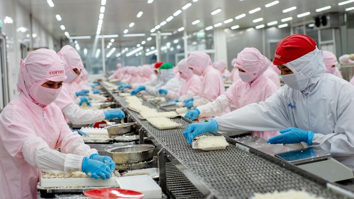  COFIDEC tiếp tục đầu tư đổi mới công nghệ để nâng cao chất lượng sản phẩm. Ảnh: SATRA 