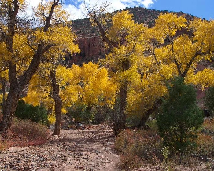 Khu cắm trại Sunglow ở Bicknell, bang Utah, Mỹ. Ảnh: runt35.