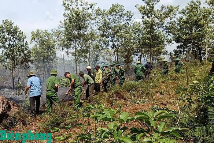 Các lực lượng tham gia chữa cháy. Ảnh: Võ Tiến