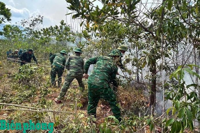 Đám cháy được các lực lượng khống chế, dập tắt. Ảnh: Võ Tiến