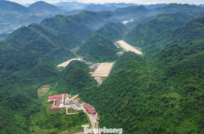 Trang trại lợn của Công ty TNHH Dabaco - nơi xảy ra vụ tai nạn lao động.