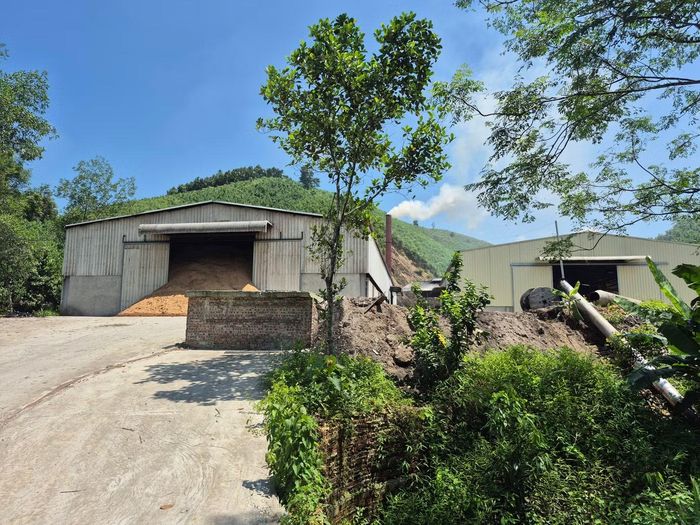 Ghi nhận tại xưởng sản xuất, mùn cưa được tập kết với khối lượng lớn, chất đống để phục vụ quá trình sản xuất than sinh học.