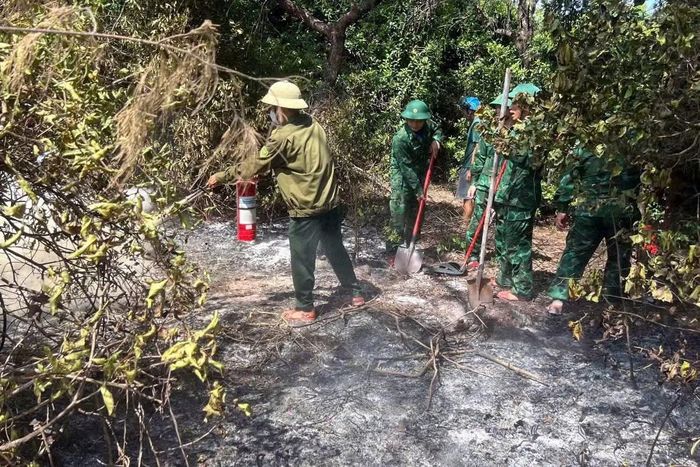 Cháy rừng xảy ra tại xã ven biển Phú Vinh, Huế.