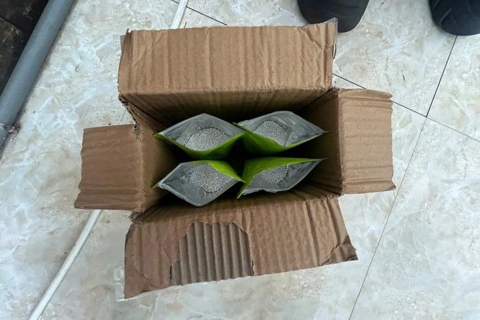 Số bạc được các đối tượng nguy trang, cất giấu dưới đế giày để vận chuyển trái phép qua biên giới.
