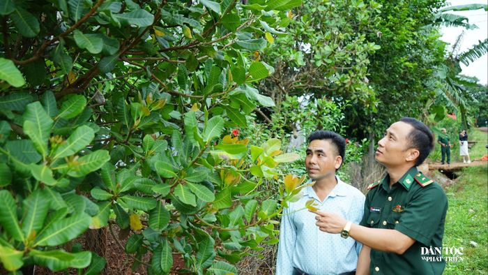 Ông Ksor Bíu (bên phải) định cư ở làng Triêl tại xã Ia Pnôn. Ảnh: Ngọc Thu