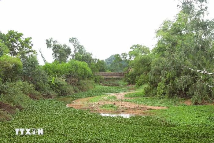 Kênh Nhà Lê đoạn trước khi đấu nối với sông Cấm (huyện Nghi Lộc cũ), Nghệ An. (Ảnh: Xuân Tiến/TTXVN)
