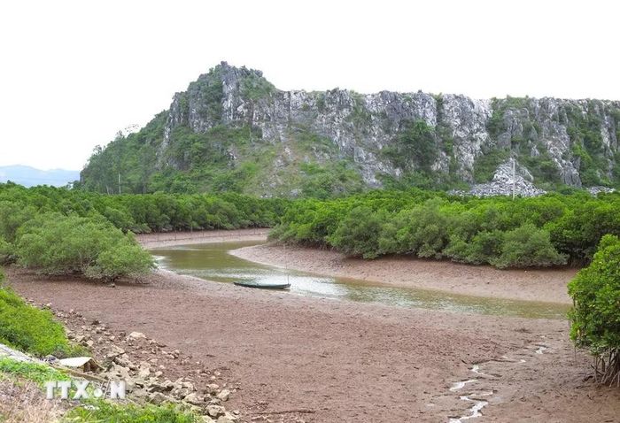 Kênh Nhà Lê chảy qua địa bàn tỉnh Nghệ An có chiều dài khoảng 128km, nhiều đoạn len lỏi, ẩn mình dưới bạt ngàn rừng ngập mặn. (Ảnh: Xuân Tiến/TTXVN)