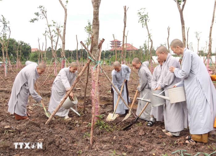 Học tập và làm theo Bác, các tổ chức tôn giáo tại Thành phố Hồ Chí Minh tích cực tham gia hoạt động trồng cây gây rừng, tạo mảng xanh đô thị. (Ảnh: Xuân Khu/TTXVN)