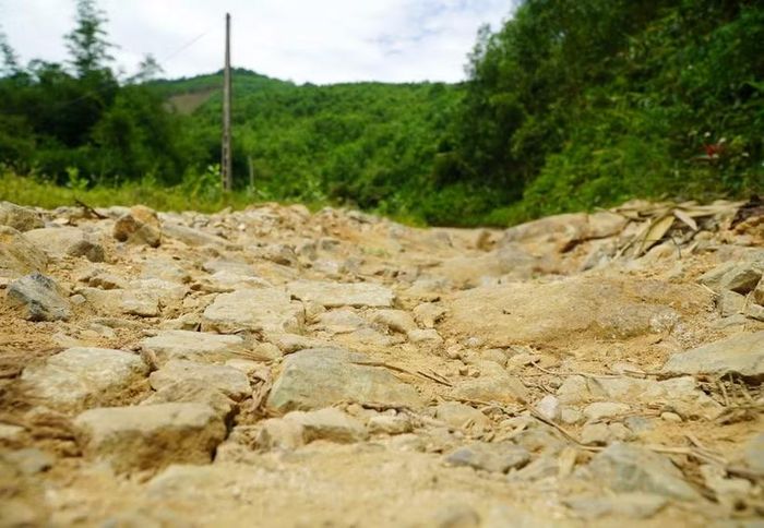 Mặt đường Trà Thanh-Trà Phong bong tróc nặng, lởm chởm đá, sỏi. (Ảnh: Lê Phước Ngọc/TTXVN)