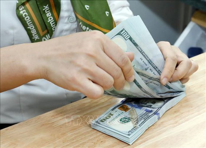 Sáng 20/7, Ngân hàng Nhà nước công bố tỷ giá trung tâm của Đồng Việt Nam (VND) với Đô la Mỹ (USD) ở mức 25.252 VND/USD, giảm 2 đồng so với ngày 17/7. Ảnh minh họa: Trần Việt/TTXVN