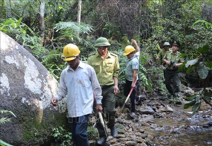 Lực lượng Kiểm lâm rừng Đặc dụng Bà Nà – Núi Chúa đi tuần rừng. Ảnh tư liệu: Văn Dũng/TTXVN