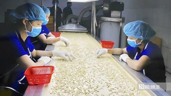 Ngành điều Việt Nam cần vươn mình đến trình độ chế biến sâu, có thương hiệu sản phẩm tiêu dùng trực tiếp để gia tăng giá trị.