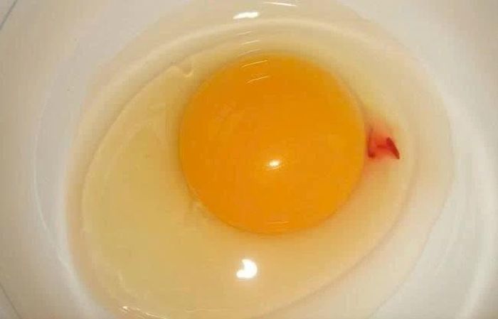 Đốm máu trên lòng đỏ trứng khiến nhiều người lo ngại trứng đã hỏng hoặc không còn an toàn.