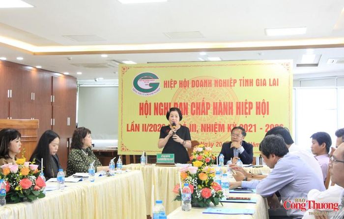 Theo bà Nguyễn Thị Sen, hoạt động an sinh xã hội thể hiện một khía cạnh khác của cộng đồng doanh nghiệp Gia Lai: trách nhiệm và sự sẻ chia.