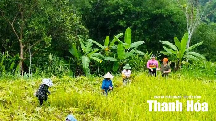 Nơi con người nương tựa vào thiên nhiên bao dung, nối tiếp truyền thống cha ông, bền bỉ viết tiếp câu chuyện sinh tồn đầy kiêu hãnh...