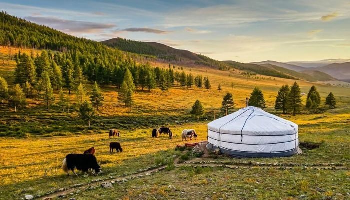 Mông Cổ, Kazakhstan, Tasmania... ghi nhận lượng khách tăng nhờ thời tiết dễ chịu vào giai đoạn tháng 6 - 8. Ảnh: World Travel Guide
