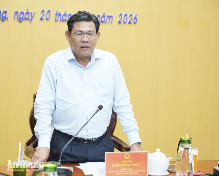 Phó Chủ tịch UBND tỉnh An Giang Ngô Công Thức phát biểu chỉ đạo tại buổi làm việc. Ảnh: THỤY DU
