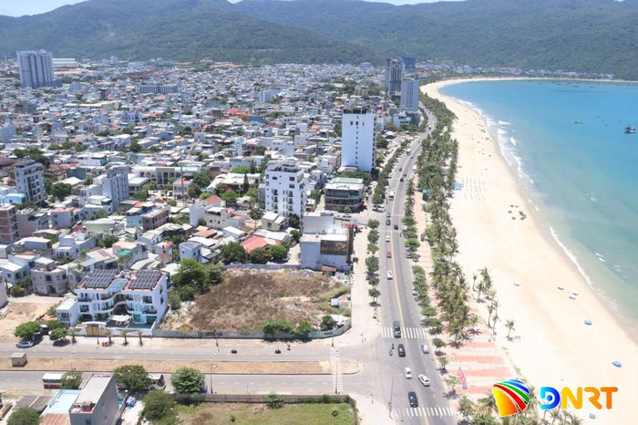 Các khu đô thị, khu dân cư đầu tuyến Sơn Trà - Điện Ngọc thuộc phường Sơn Trà có nhiều khu, lô đất trống bị bỏ hoang nhiều năm, chính quyền địa phương mất nhiều thời gian tìm kiếm chủ đất. Ảnh: KHÁNH HÀ
