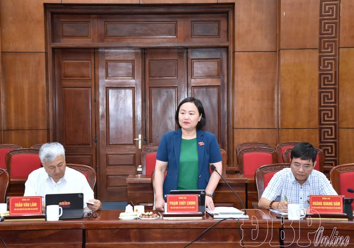 Phó Chủ nhiệm Ủy ban Kinh tế và Tài chính của Quốc hội khóa XVI Phạm Thúy Chinh phát biểu tại buổi làm việc.