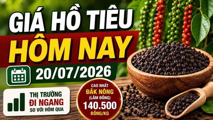 Hình minh họa