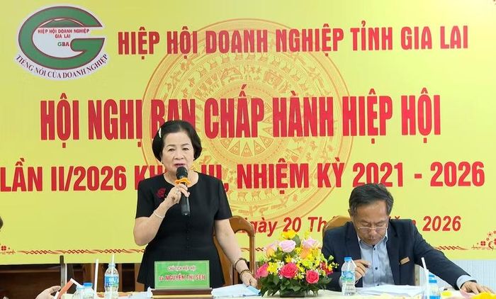 Bà Nguyễn Thị Sen - Chủ tịch Hiệp hội Doanh nghiệp tỉnh Gia Lai phát biểu tại hội nghị. Ảnh: R'Piên