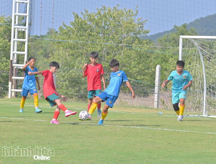 Các đội bóng tranh tài tại giải.