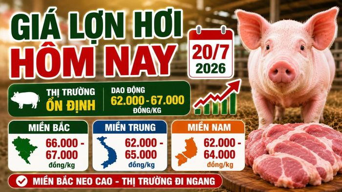 Hình minh họa.