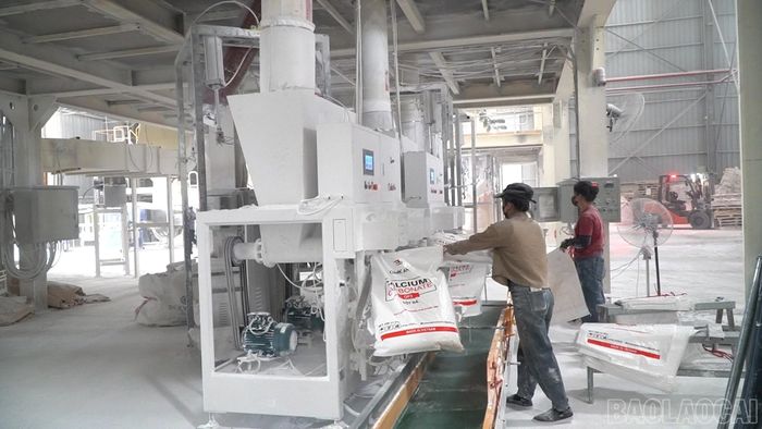 Công ty Cổ phần Polyfill Yên Bái được thành lập năm 2023, hoạt động trong lĩnh vực sản xuất hạt nhựa Taical Filler, bột đá CaCO₃.