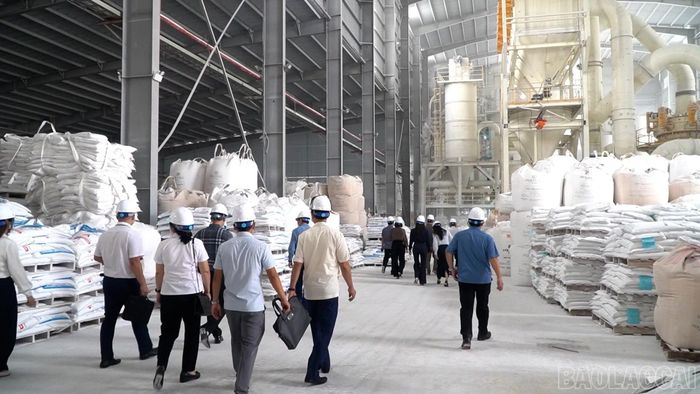 Đoàn giám sát đi kiểm tra khu vực bể tuần hoàn nước sản xuất và xưởng sản xuất của Công ty Cổ phần Polyfill Yên Bái.