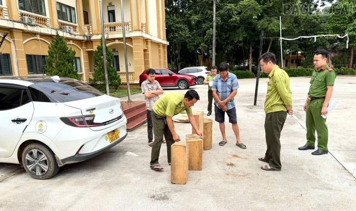 Công an xã Văn Bàn phối hợp với Hạt Kiểm lâm khu vực Văn Bàn kiểm tra, xác minh, làm rõ nguồn gốc số lâm sản theo quy định của pháp luật.