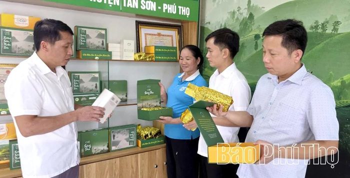Cùng với chất lượng, mẫu mã, bao bì cao cấp của các sản phẩm chè đạt chứng nhận OCOP góp phần nâng cao giá trị thương hiệu và kinh tế.