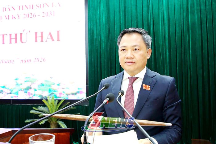 Đồng chí Nguyễn Đình Việt, Phó Bí thư Tỉnh ủy, Chủ tịch UBND tỉnh báo cáo tại Kỳ họp.