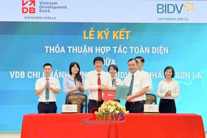 Lãnh đạo BIDV Sơn La và VDB Sơn La ký kết thỏa thuận hợp tác toàn diện.