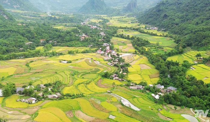 Du khách đến xã Đồng Phúc vào mùa lúa chín sẽ được chiêm ngưỡng bức tranh thiên nhiên đẹp giữa đại ngàn.