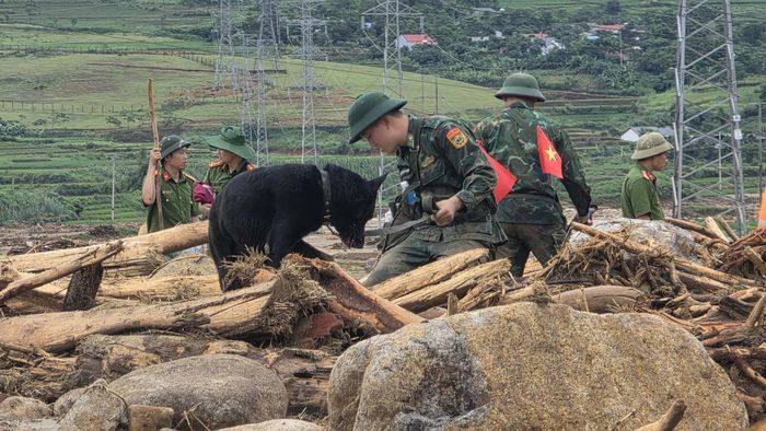 Huấn luyện viên sử dụng chó nghiệp vụ rà soát khu vực cây gỗ, bùn đất bồi lấp để tìm kiếm dấu vết người mất tích.