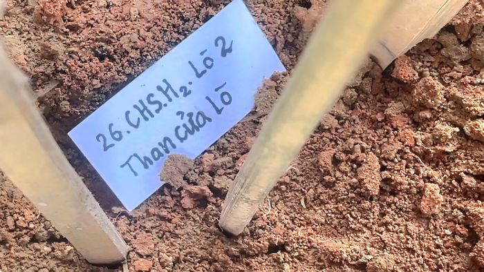 Sau khi Đại Việt tiếp quản vùng đất này năm 1471, vua Lê Thánh Tông chọn thành Châu Sa làm nơi đặt cơ quan Thừa tuyên (đơn vị hành chính) Quảng Nam, quản lý vùng đất từ Quảng Nam đến Phú Yên.