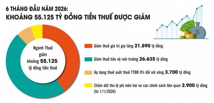 Nguồn: Cục Thuế. Đồ họa: Phương Anh