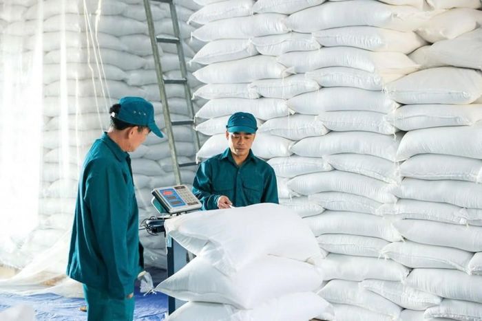 Nhập gạo tại điểm kho Điện Biên, Chi cục Dự trữ Nhà nước khu vực V. Ảnh: Đức Thanh