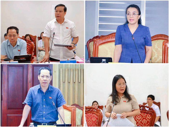 Các ĐBQH tỉnh Nghệ An - thành viên Đoàn giám sát phát biểu tại các buổi làm việc
