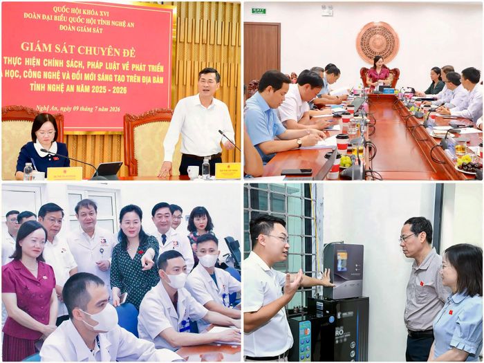 Đoàn giám sát khảo sát, làm việc với các đơn vị