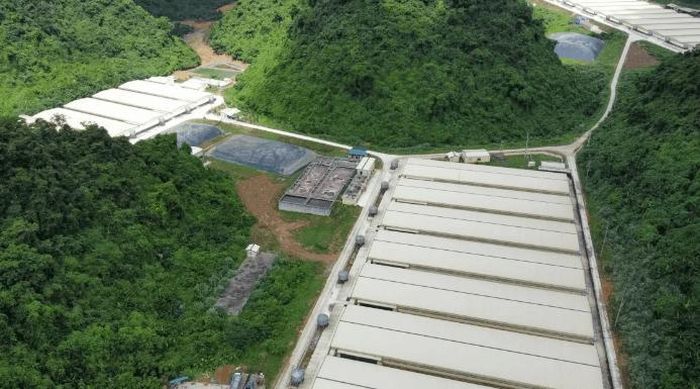Trang trại lợn của Cty TNHH Dabaco Thanh Hóa - nơi xảy ra vụ tai nạn nghiêm trọng. Ảnh: ST