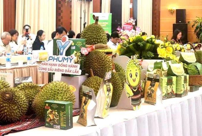 Gian trưng bày sầu riêng và các sản phẩm làm từ sầu riêng Đắk Lắk.