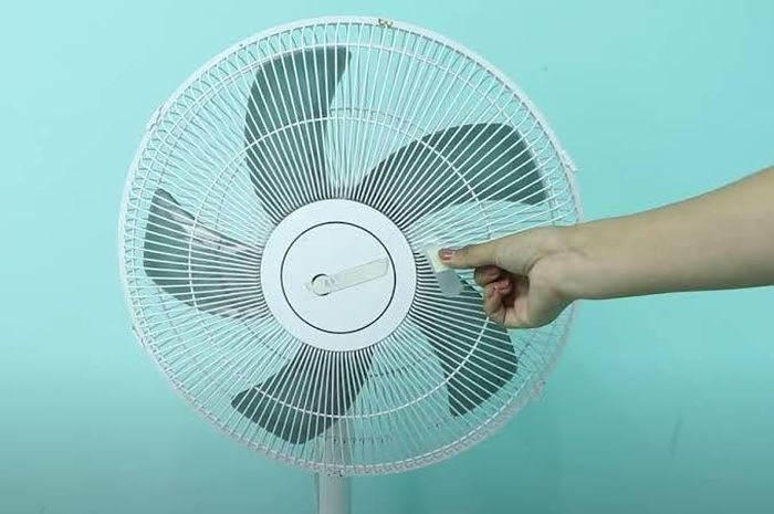 So với việc mua máy khuếch tán tinh dầu hay máy lọc không khí, cách làm này gần như không tốn kém. Ảnh minh họa.