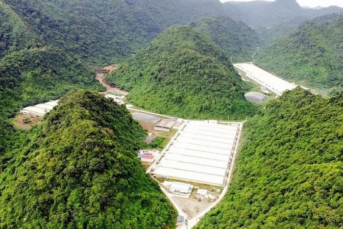 Trang trại Công ty TNHH DABACO Thanh Hóa nơi xảy ra vụ tai nạn lao động đặc biệt nghiêm trọng khiến 7 công nhân thương vong.